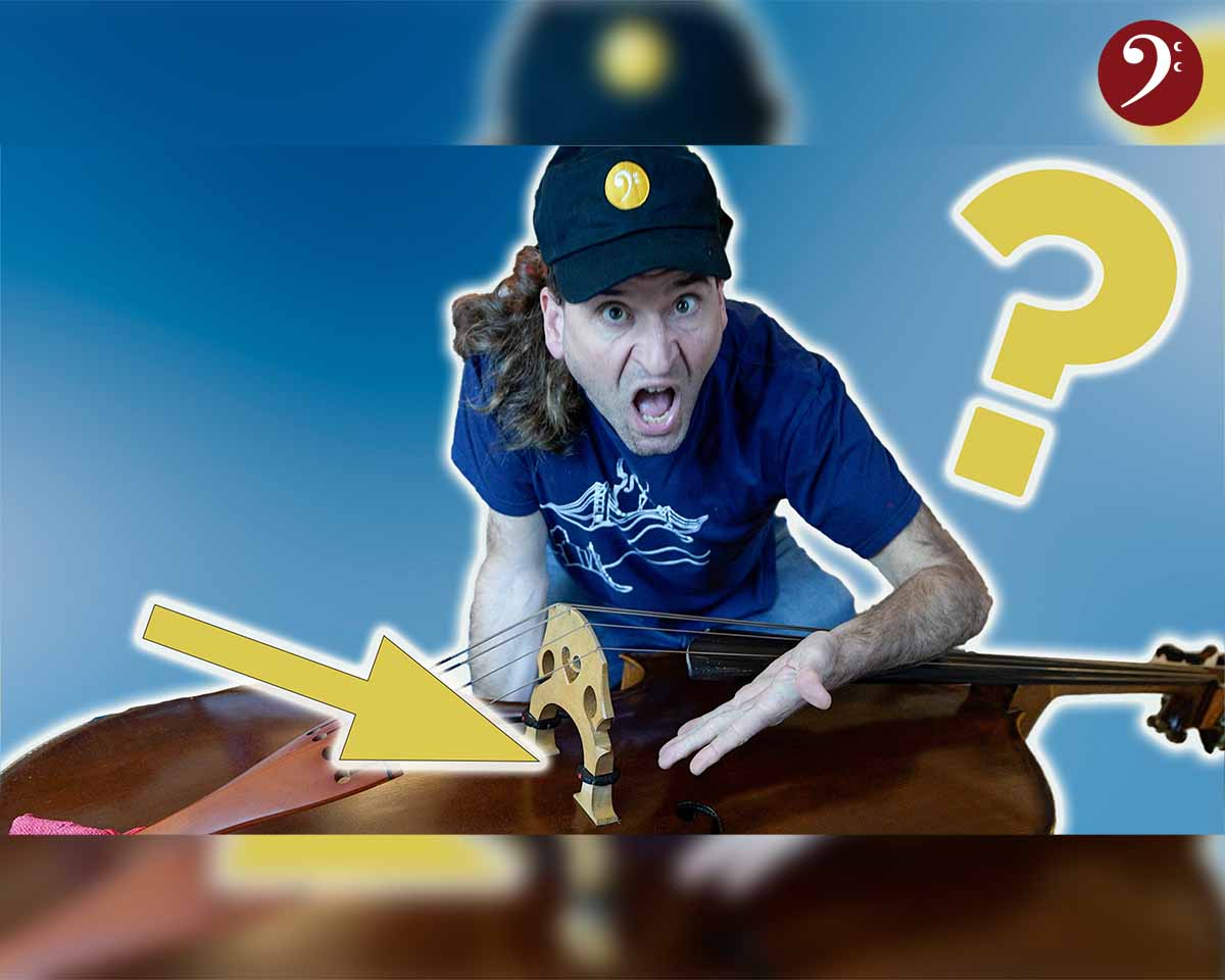 978: Are bridge adjusters a good idea on double bass?