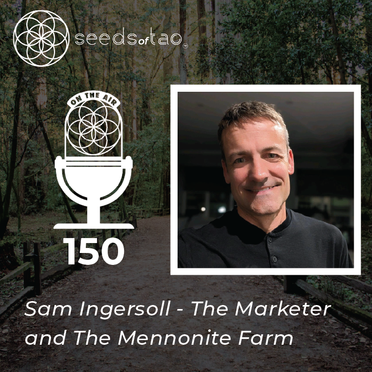 Seeds of Tao: Impact entrepreneurs seeding regenerative paths beyond sustainability