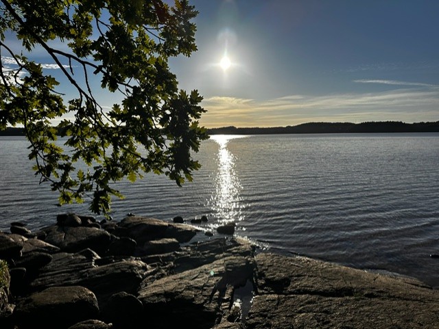 423. Inte jag utan Gud i mig