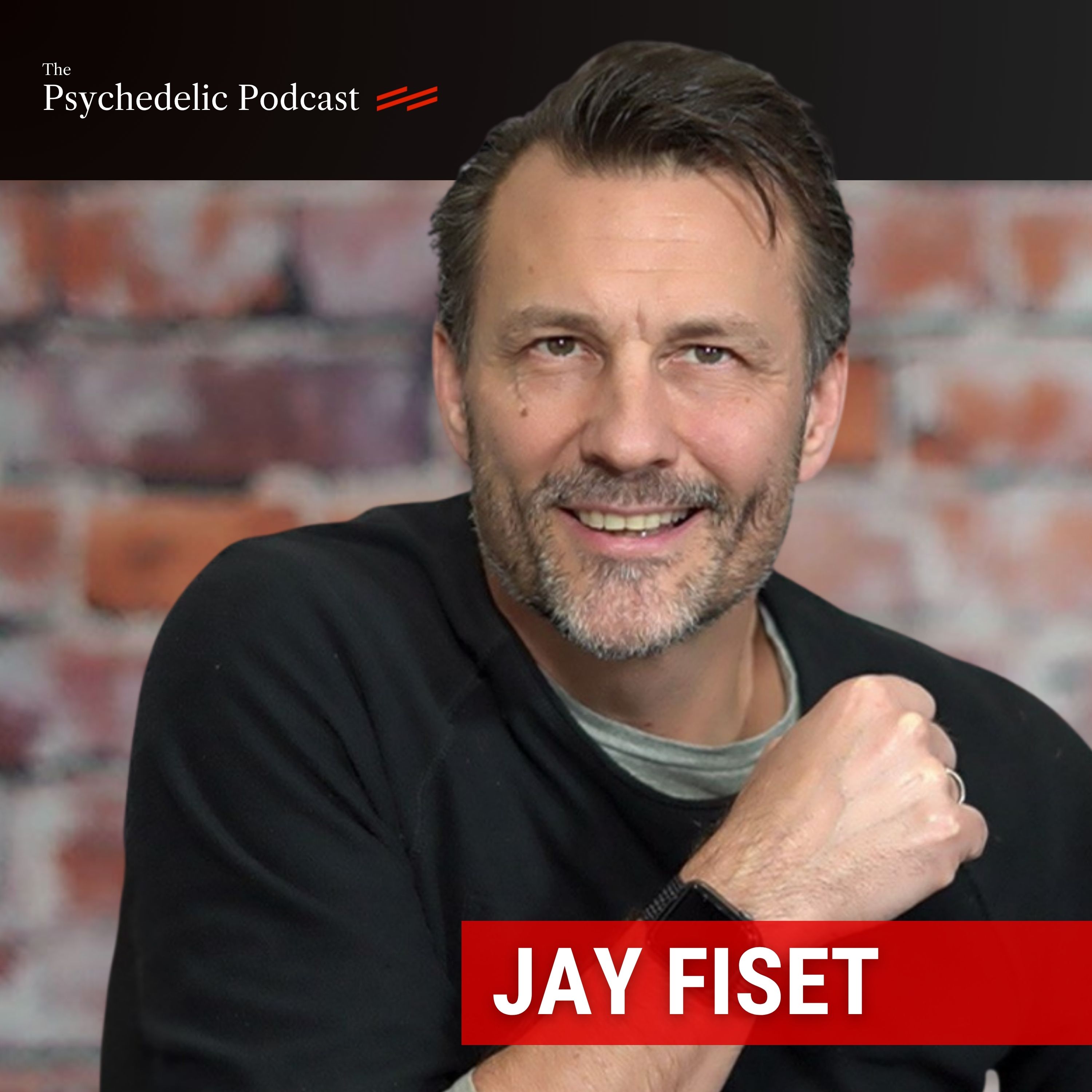 Functional Psychedelics: Rewiring Relationships & Business Growth - Jay Fiset