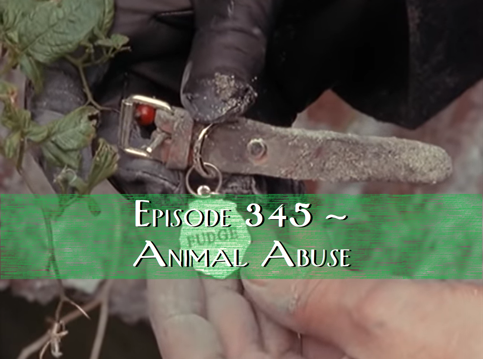 Animal Abuse