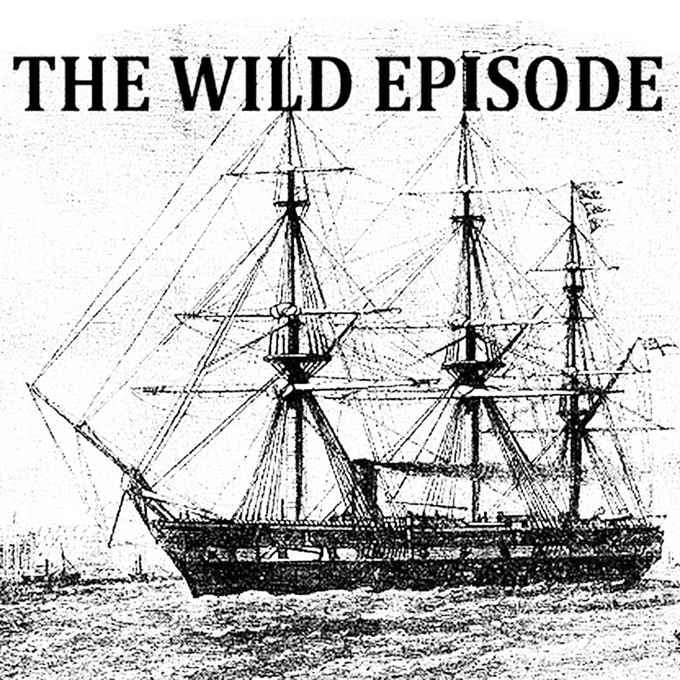 The Wild Episode