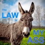 2017 07 29 Law My Ass E31 with Vernon C. Grigg III on criminal inquiries into the administation
