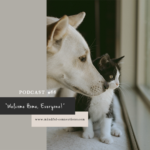 Let\'s Have A Chat!