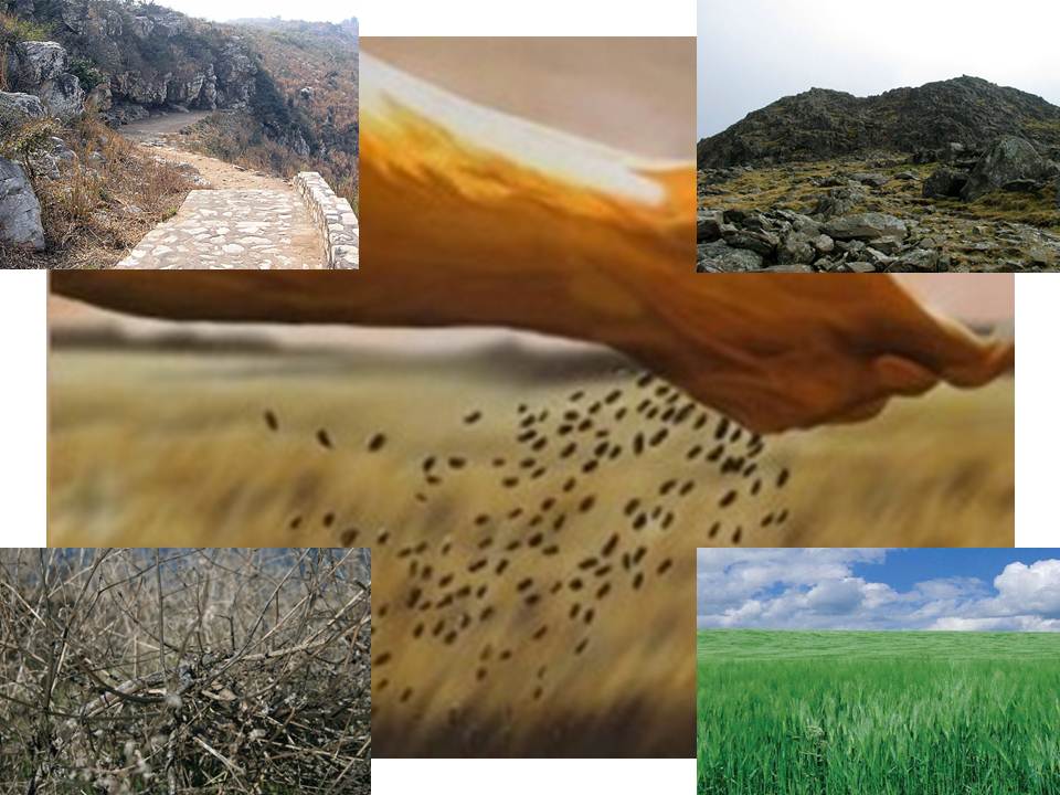 BeachCast.TV: Bible Exploration, Apologetics and Church History with Dr. Chase A. Thompson: