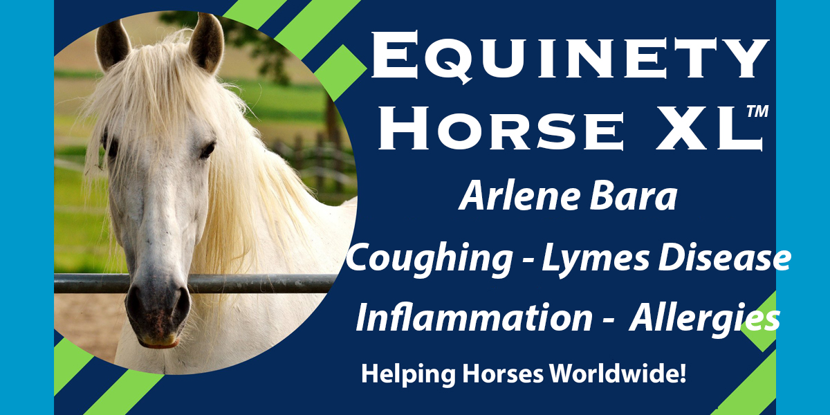 Team Equinety Podcast