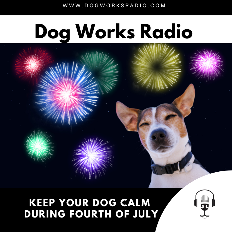 Keep Your Dog Calm on Fourth of July