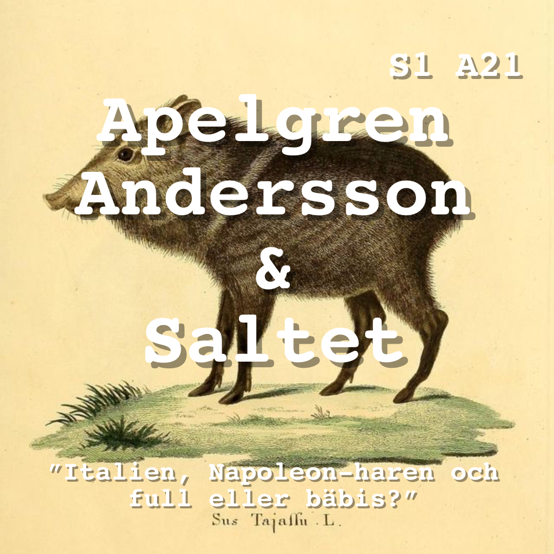 The Saltet podcast