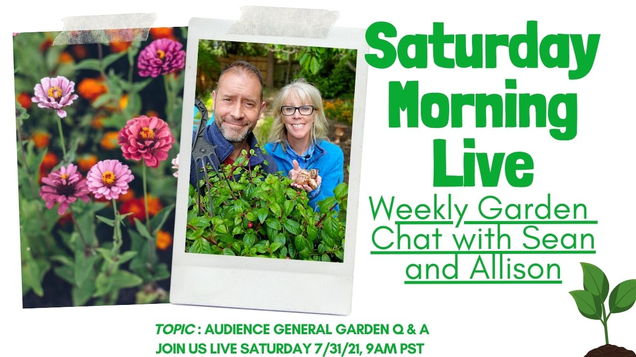 Saturday LIVE YouTube Garden Chat - General Q&A - 7-31-2021