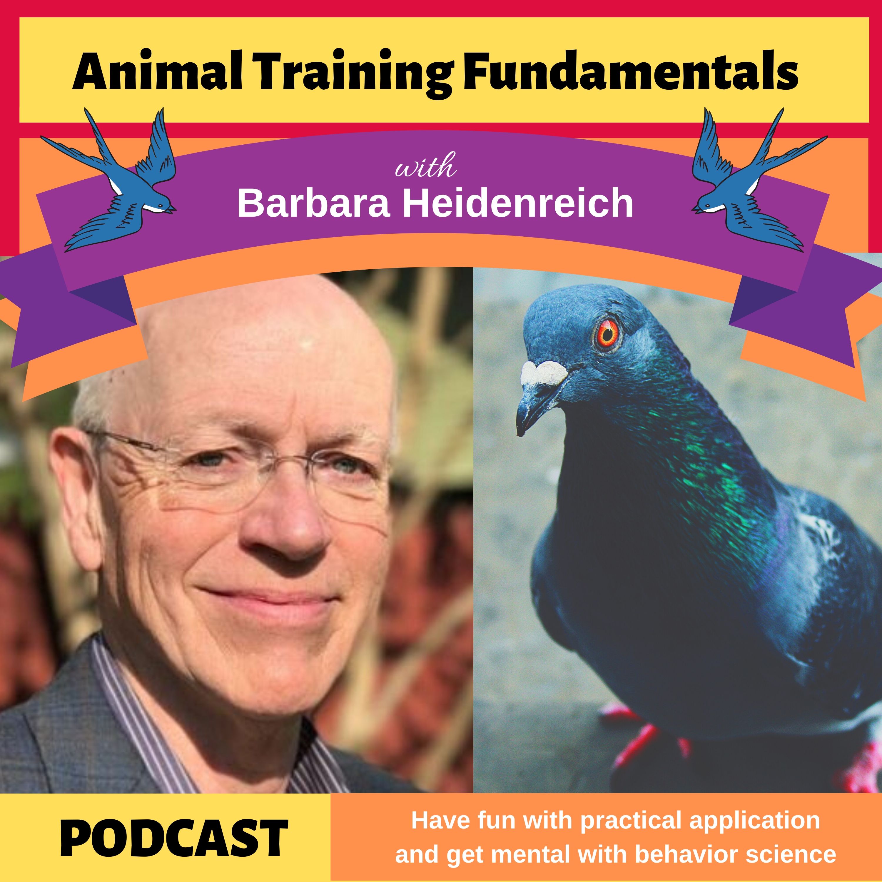 Animal Training Fundamentals with Barbara Heidenreich