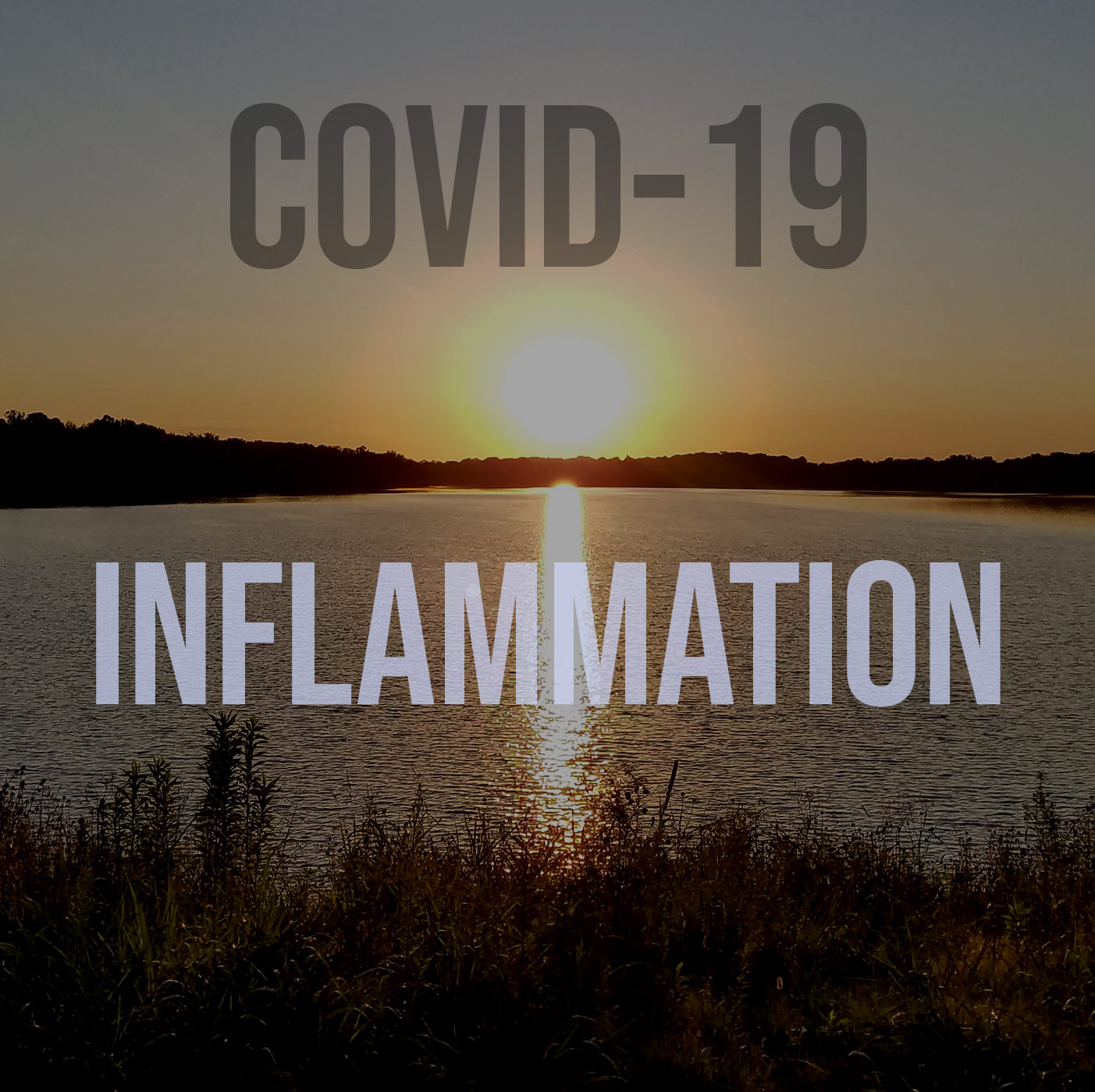 RAF241: Inflammation and COVID-19