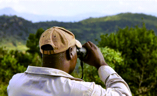 Adventure With Africa Kenya Safaris