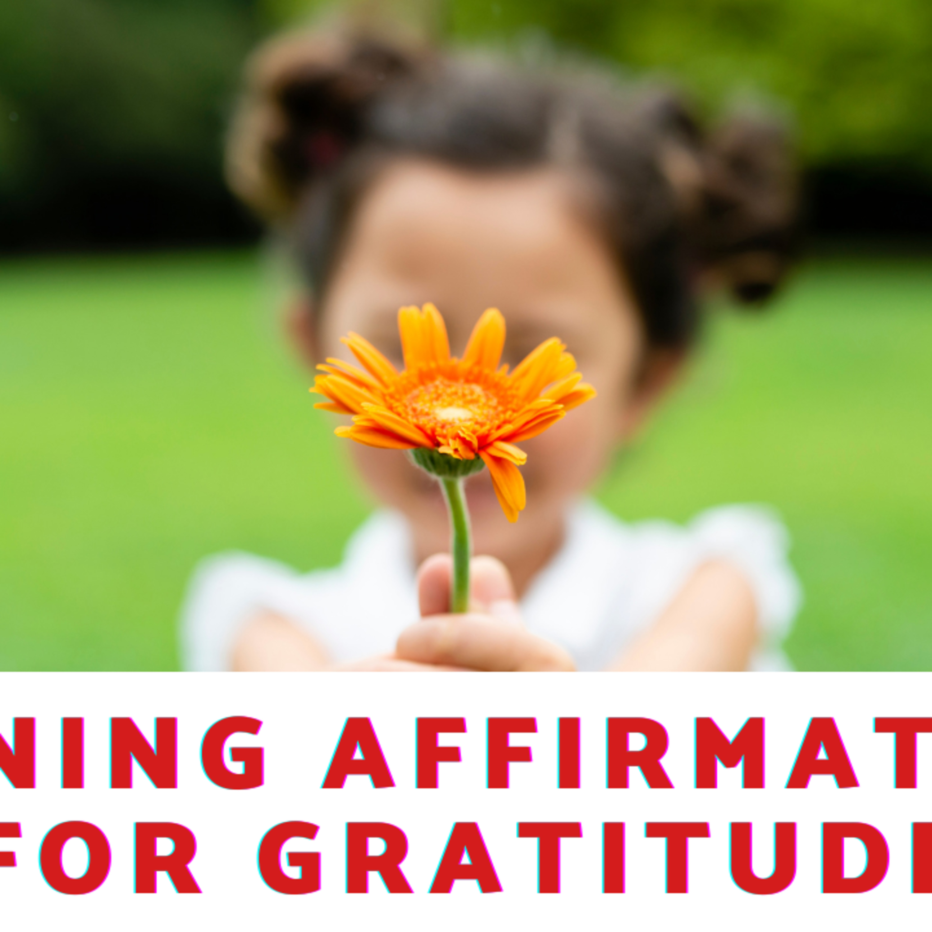 Daily Affirmations 247