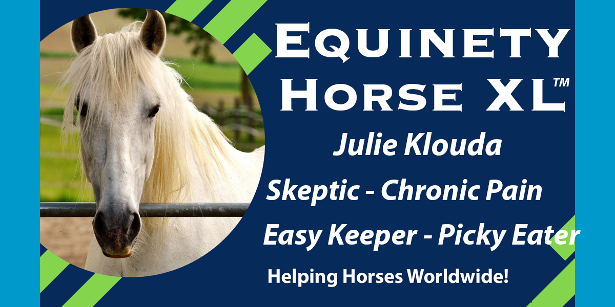 Team Equinety Podcast
