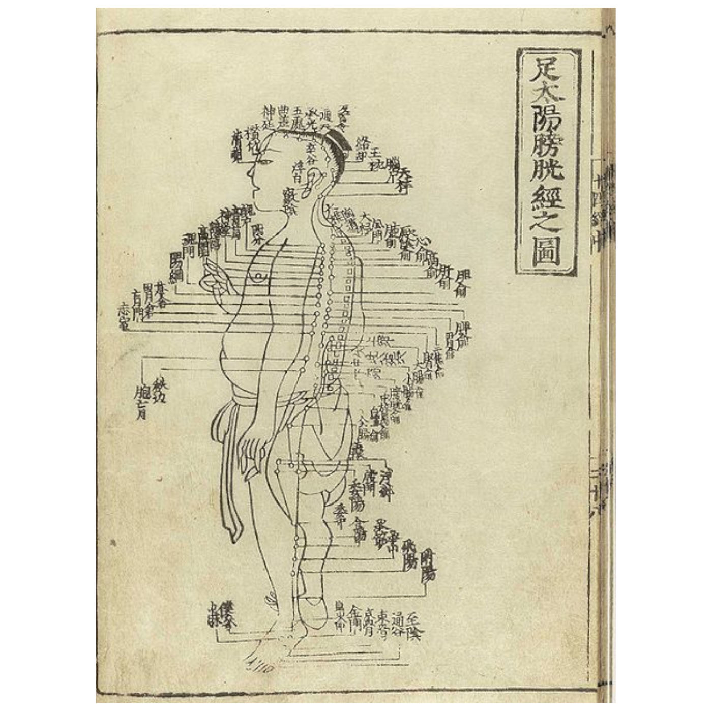 Western Acupuncture