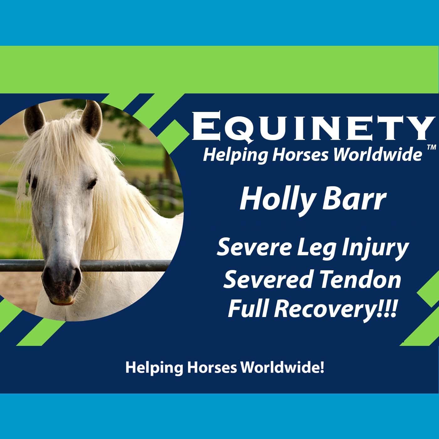 132 – Holly Barr – Severe Leg Injury – Severed Tendon – Fully Recovered 132 – Holly Barr – Severe Leg Injury – Severed Tendon – Fully Recovered