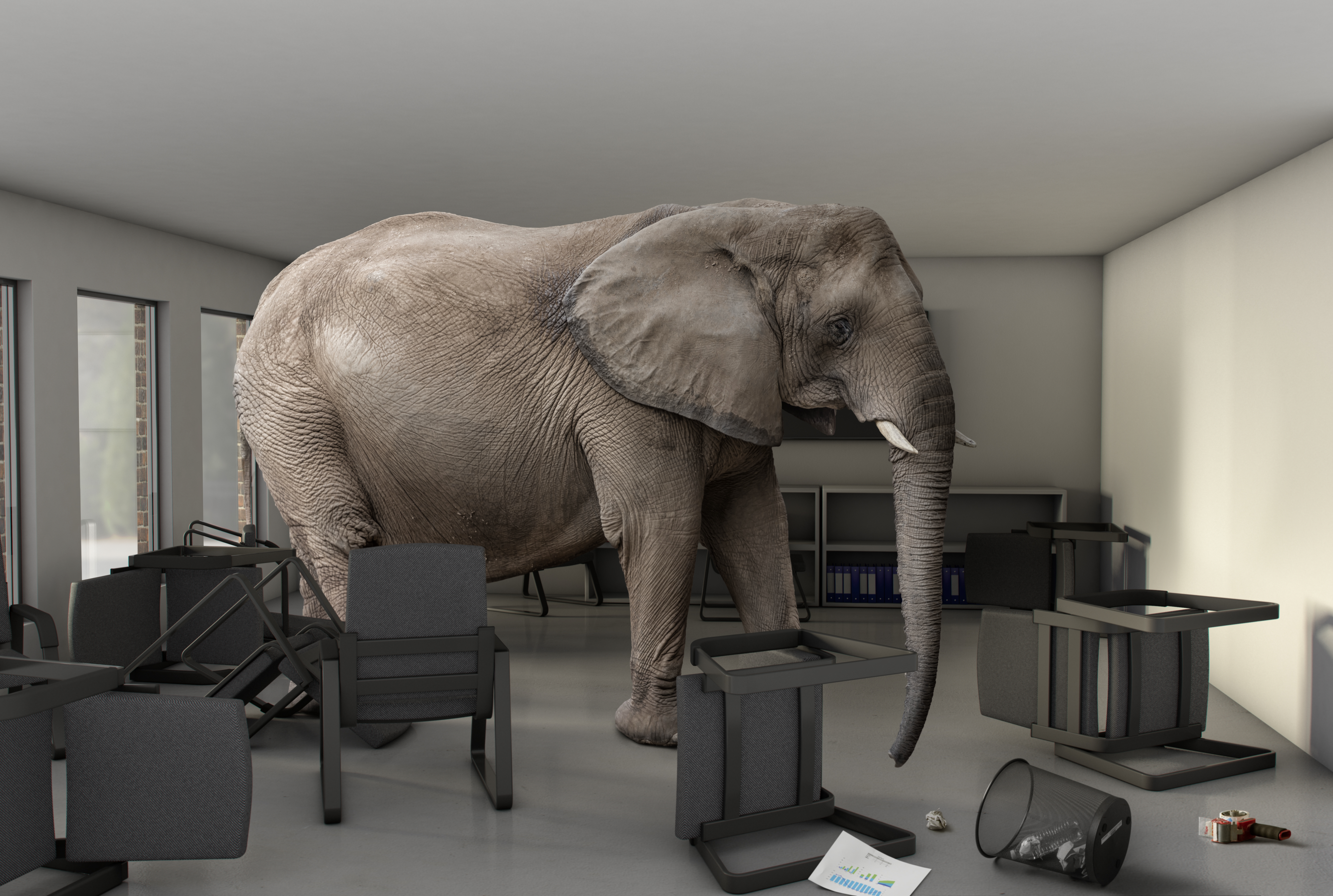 Episode 17: The Elephant in the (Board)room