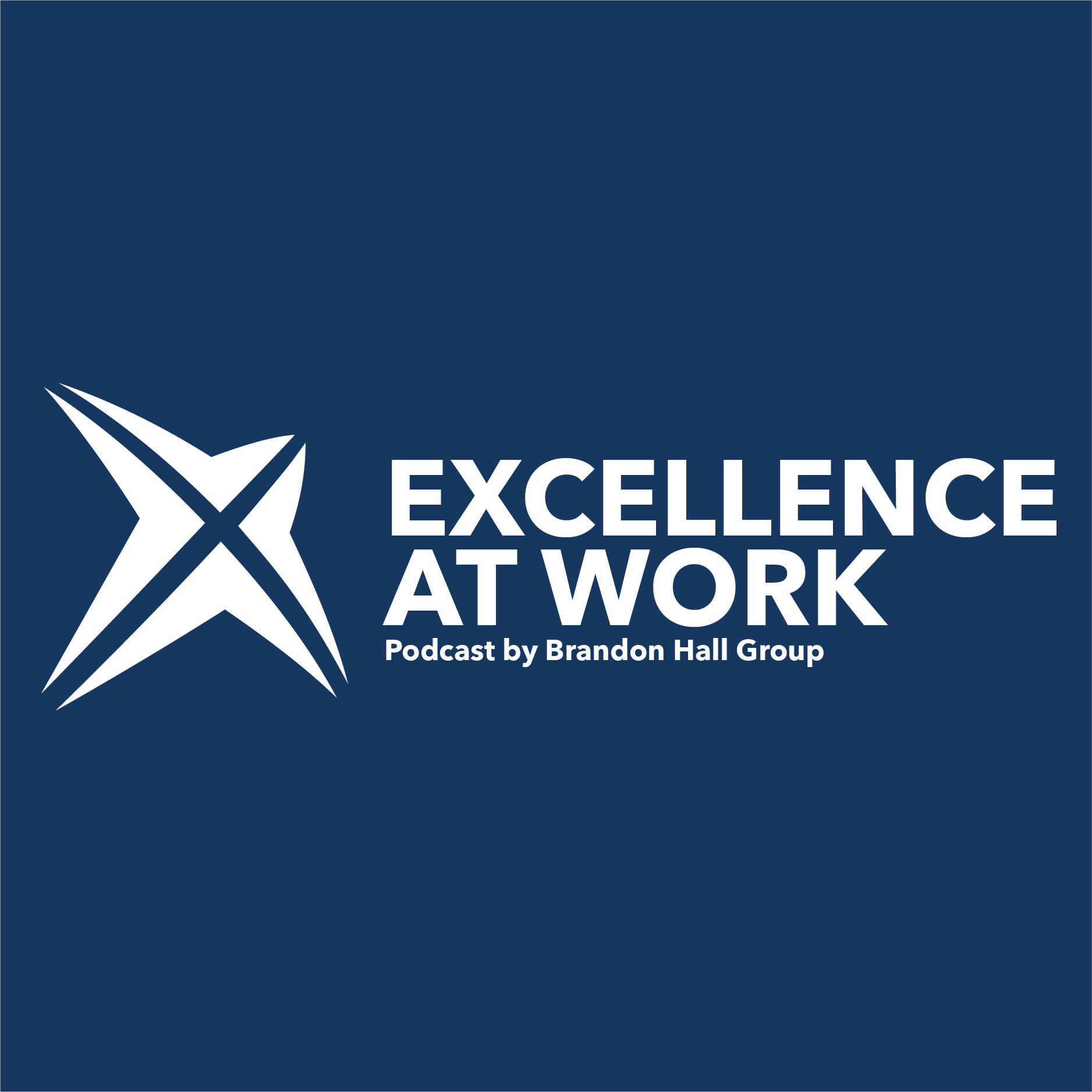 Excellence at Work Episode 308: Navigating Leadership: Embracing Change and Power Skills Excellence at Work Episode 308: Navigating Leadership: Embracing Change and Power Skills