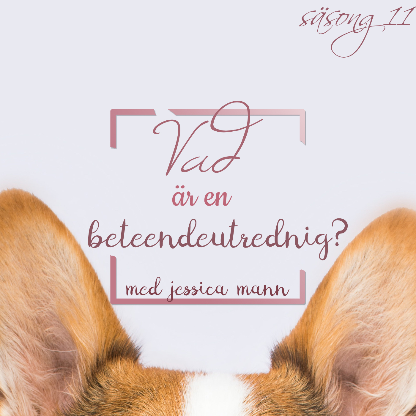 Hundpodden Vår Bästa Vän