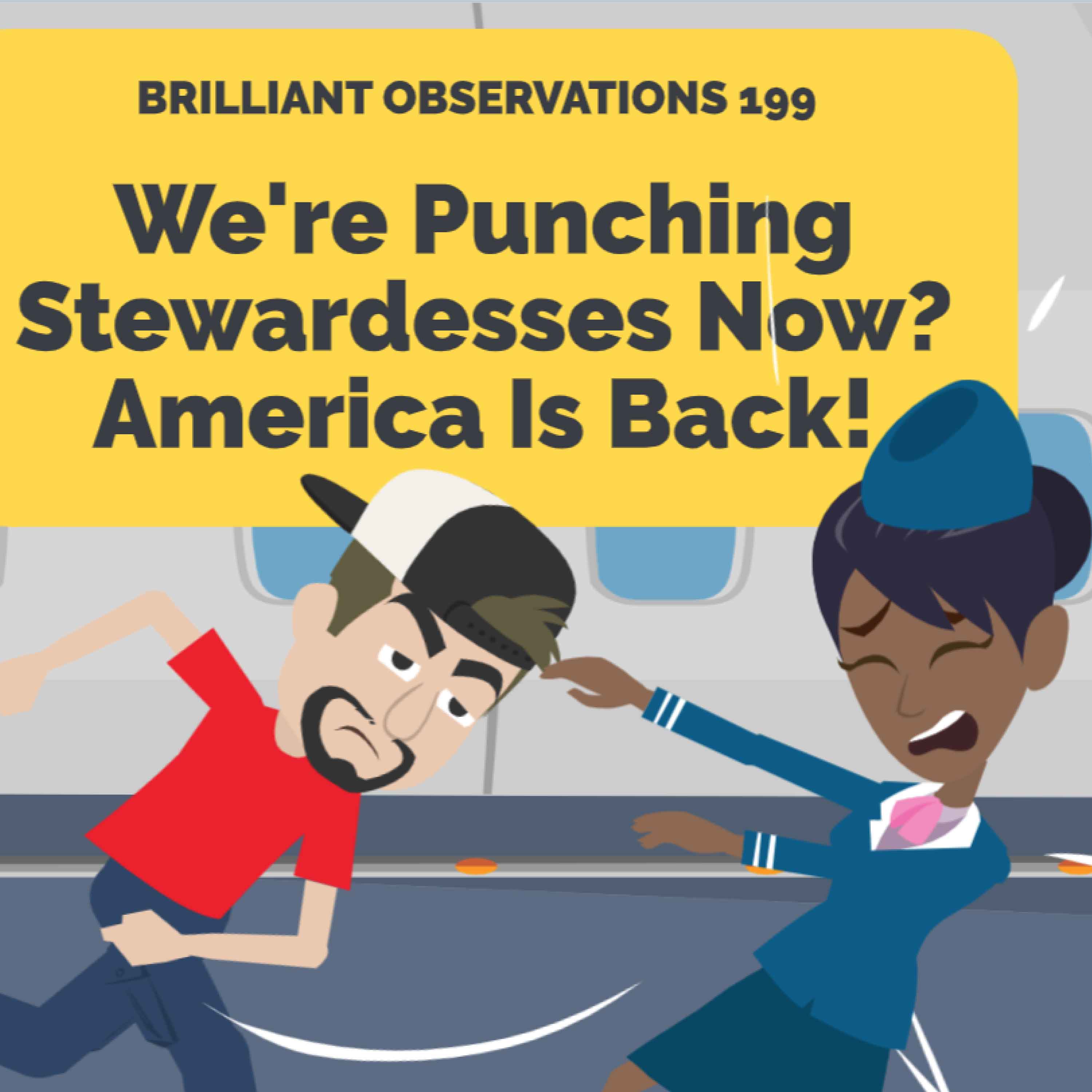 So We're Punching Stewardesses Now?   |  Brilliant Observations 199