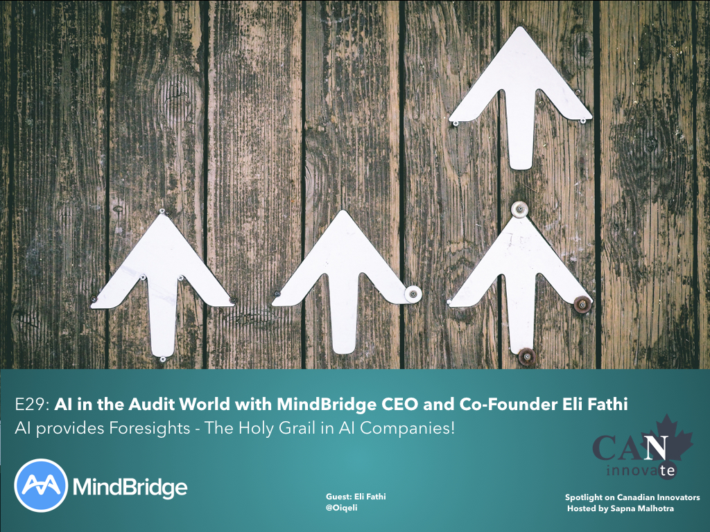 E29: AI in the Audit World with Mindbridge CEO & Co-Founder, Eli Fathi