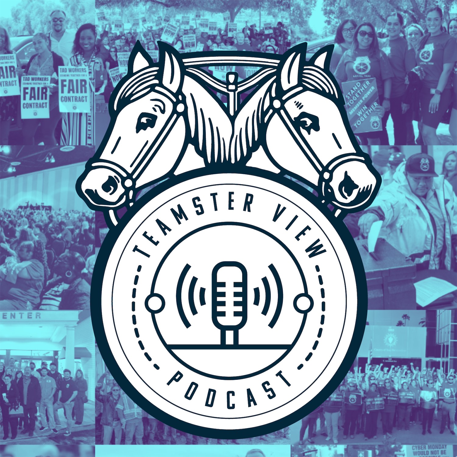 The Teamster View