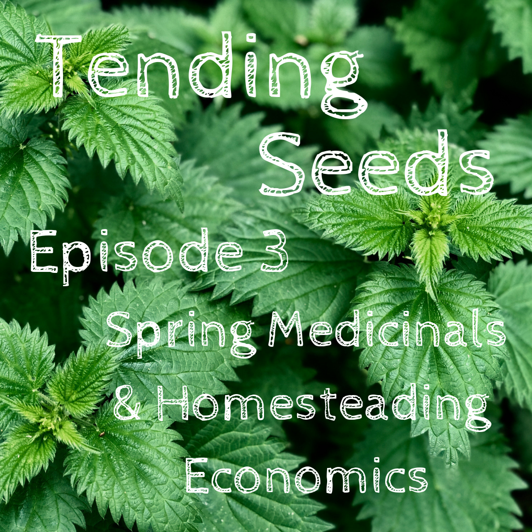 Tending Seeds: Adventures in Gardening, Homesteading, and Herbalism
