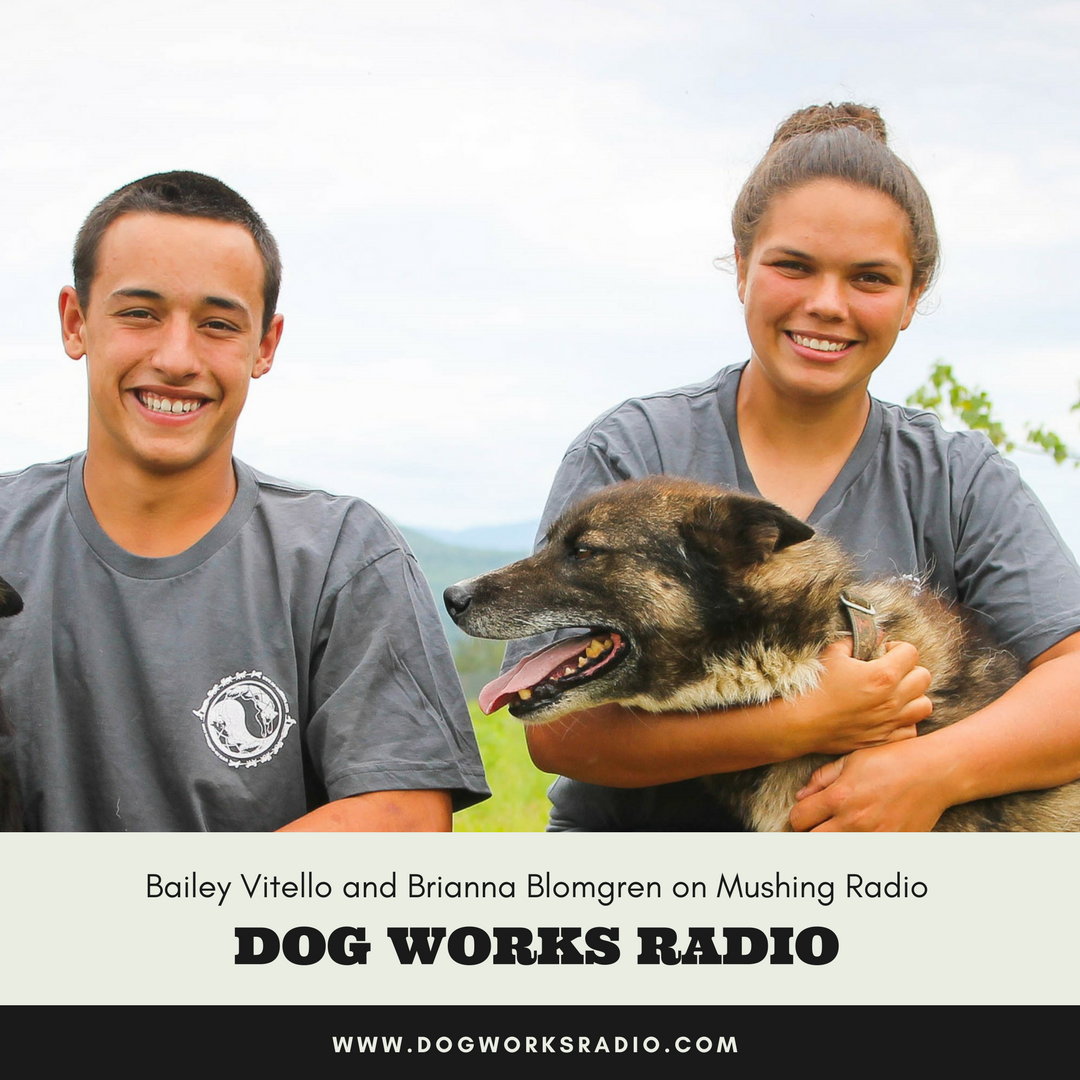 Dog Works Radio