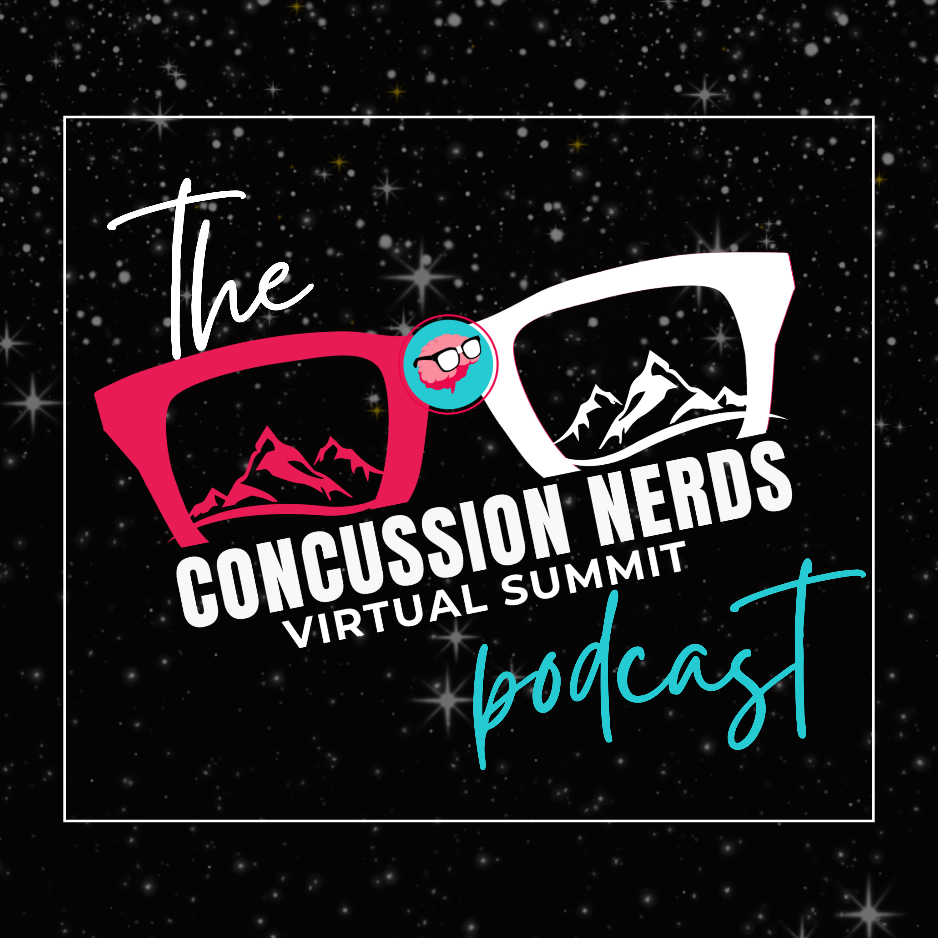 The Concussion Nerds Virtual Summit Podcast
