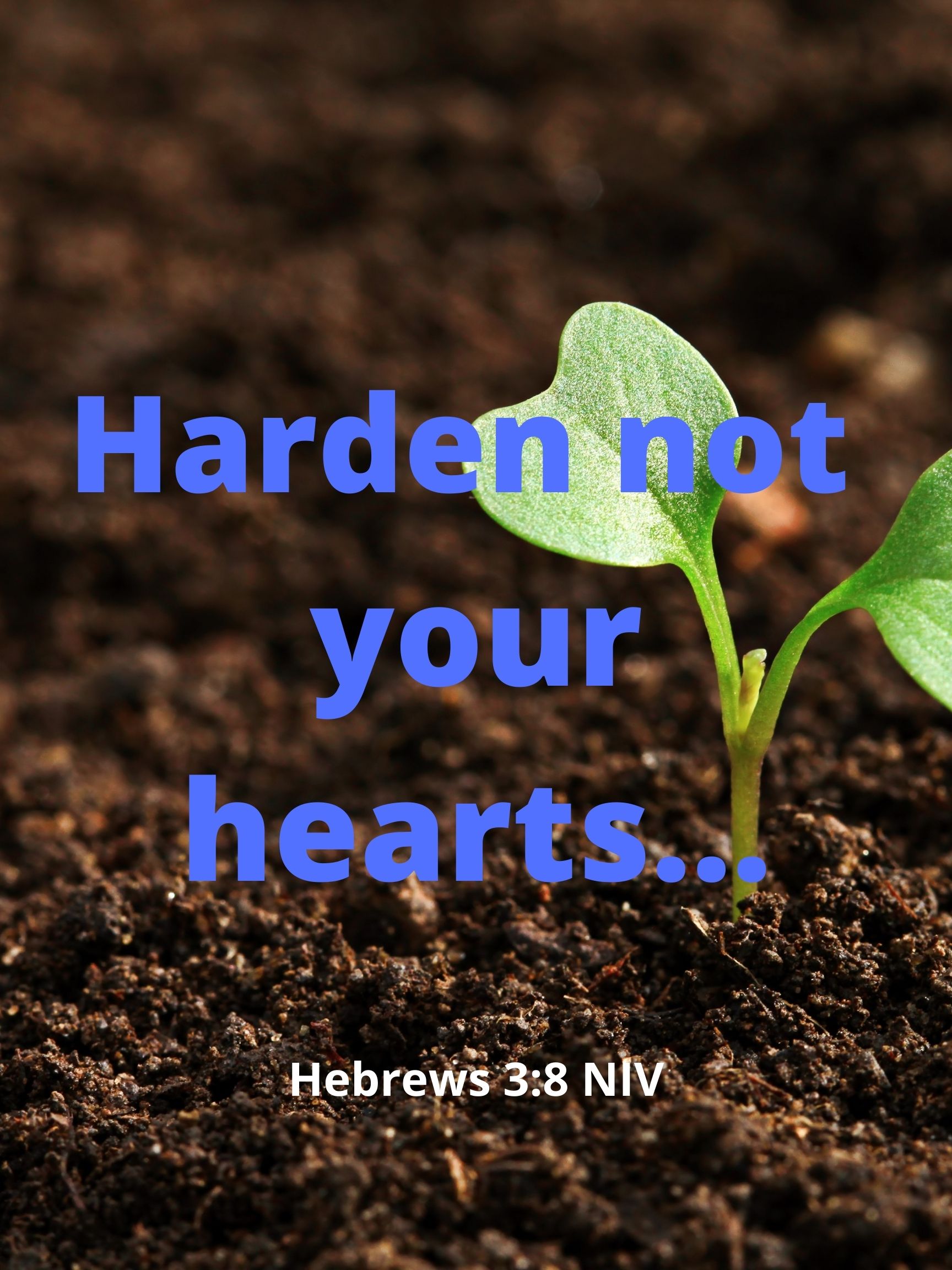Hearts Set Free podcast
