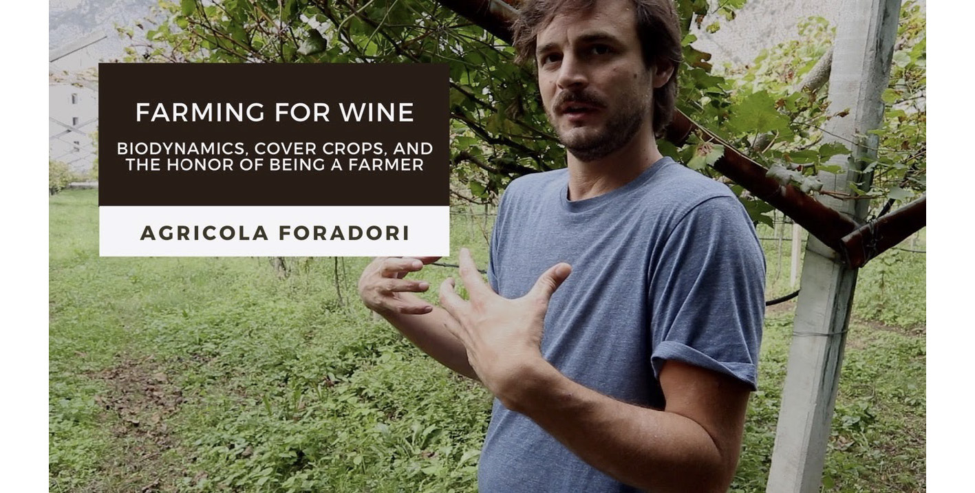 Farming for Wine at Agricola Foradori: Biodynamics, Cover Crops, and the Honor of Being a Farmer