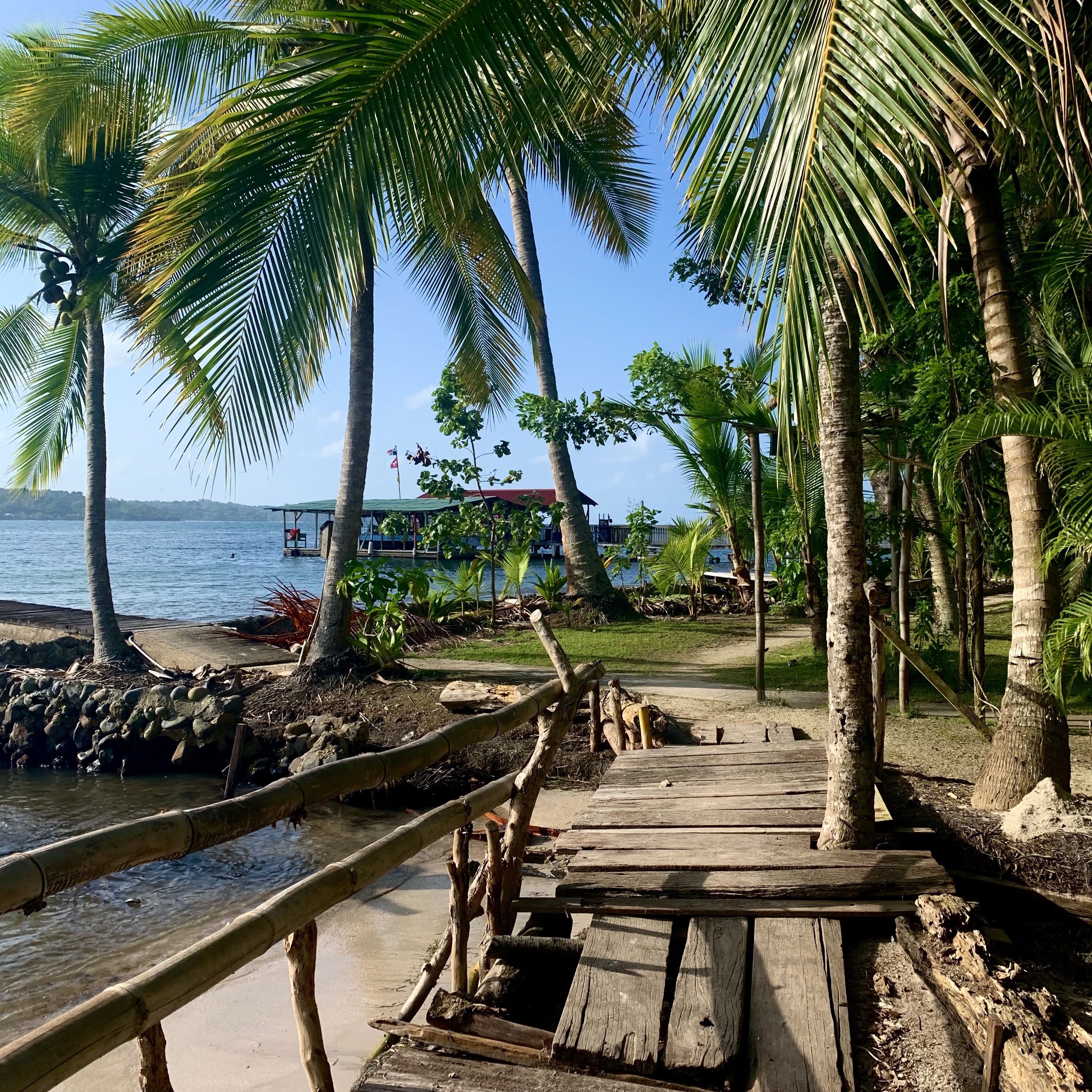 Offshore Sailing and Cruising with Paul Trammell
