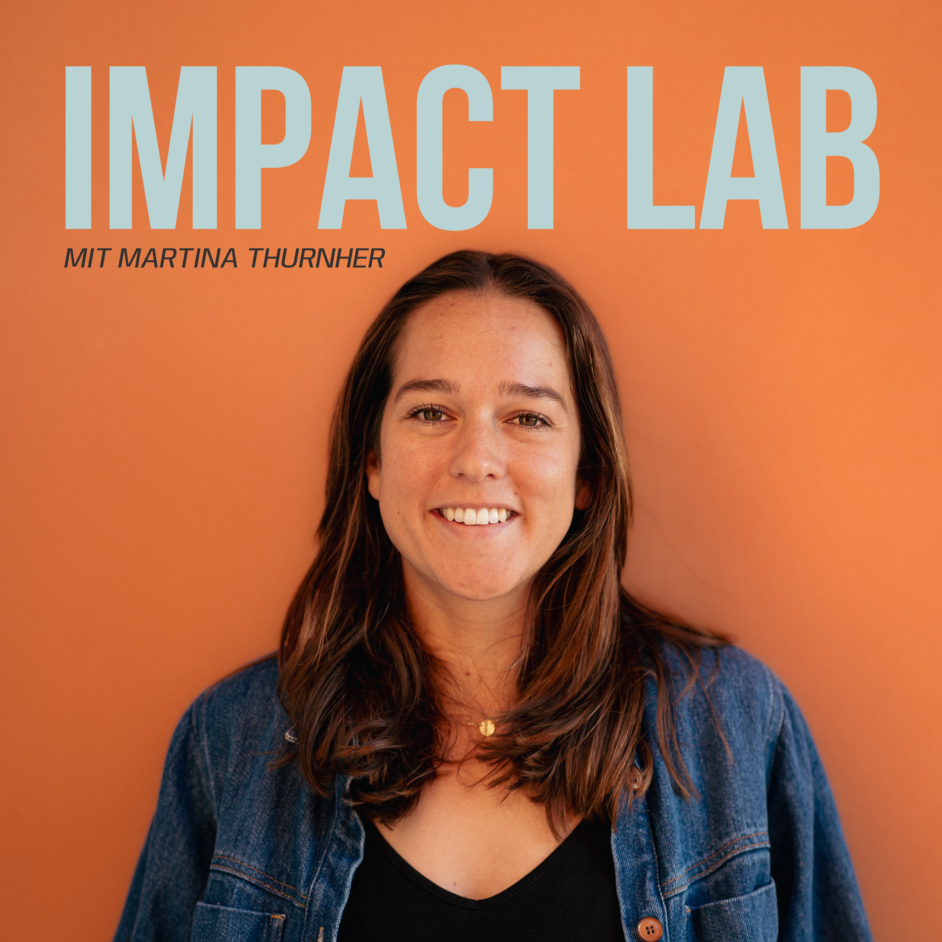THE IMPACT LAB