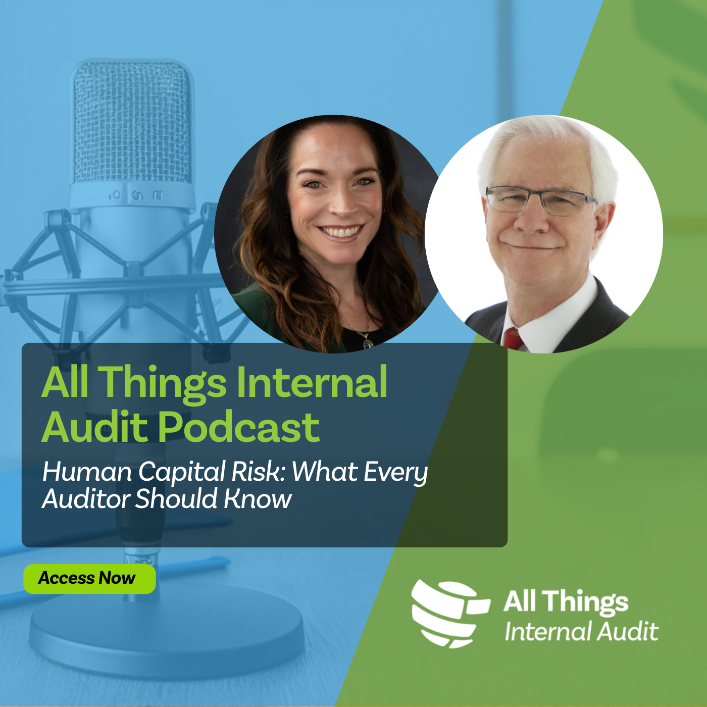 Human Capital Risk: What Every Auditor Should Know Human Capital Risk: What Every Auditor Should Know