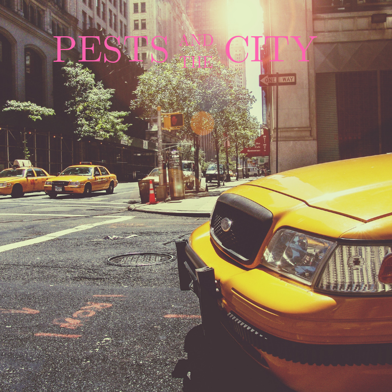 Pests and the City