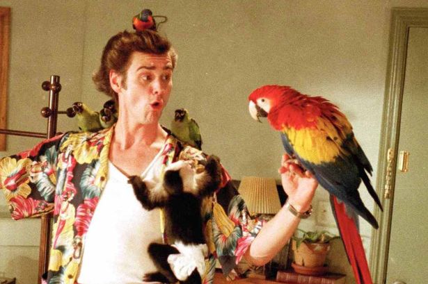 Ace Ventura: Pet Detective