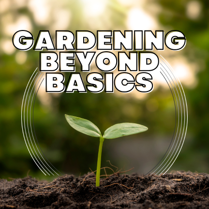 Seed Storage & Shelf Life - Gardening Beyond Basics E41