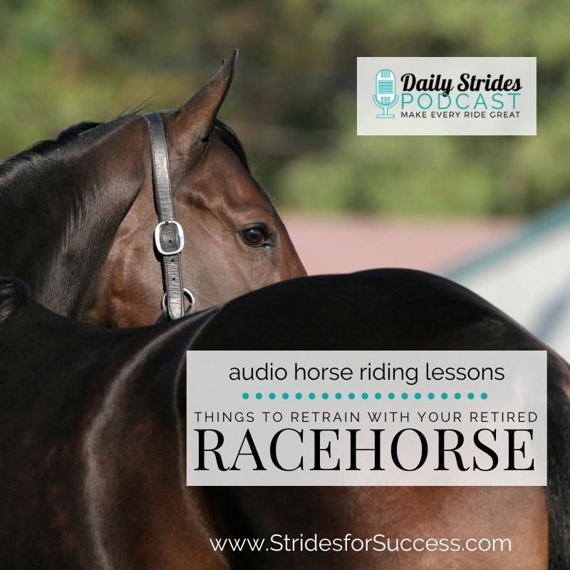 4 Things You MUST Re-Train with Your Retired Racehorse OTTB