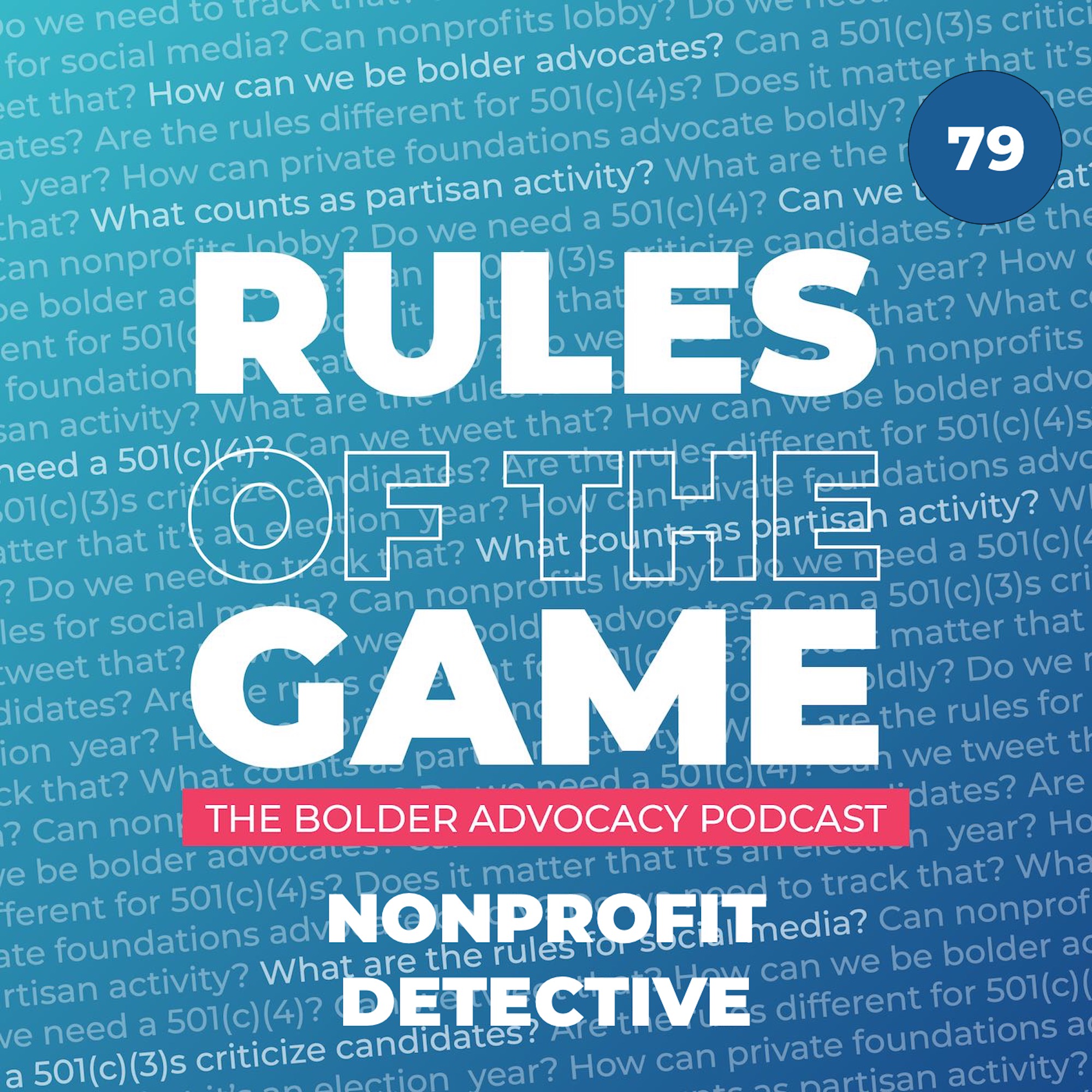 Nonprofit Detective