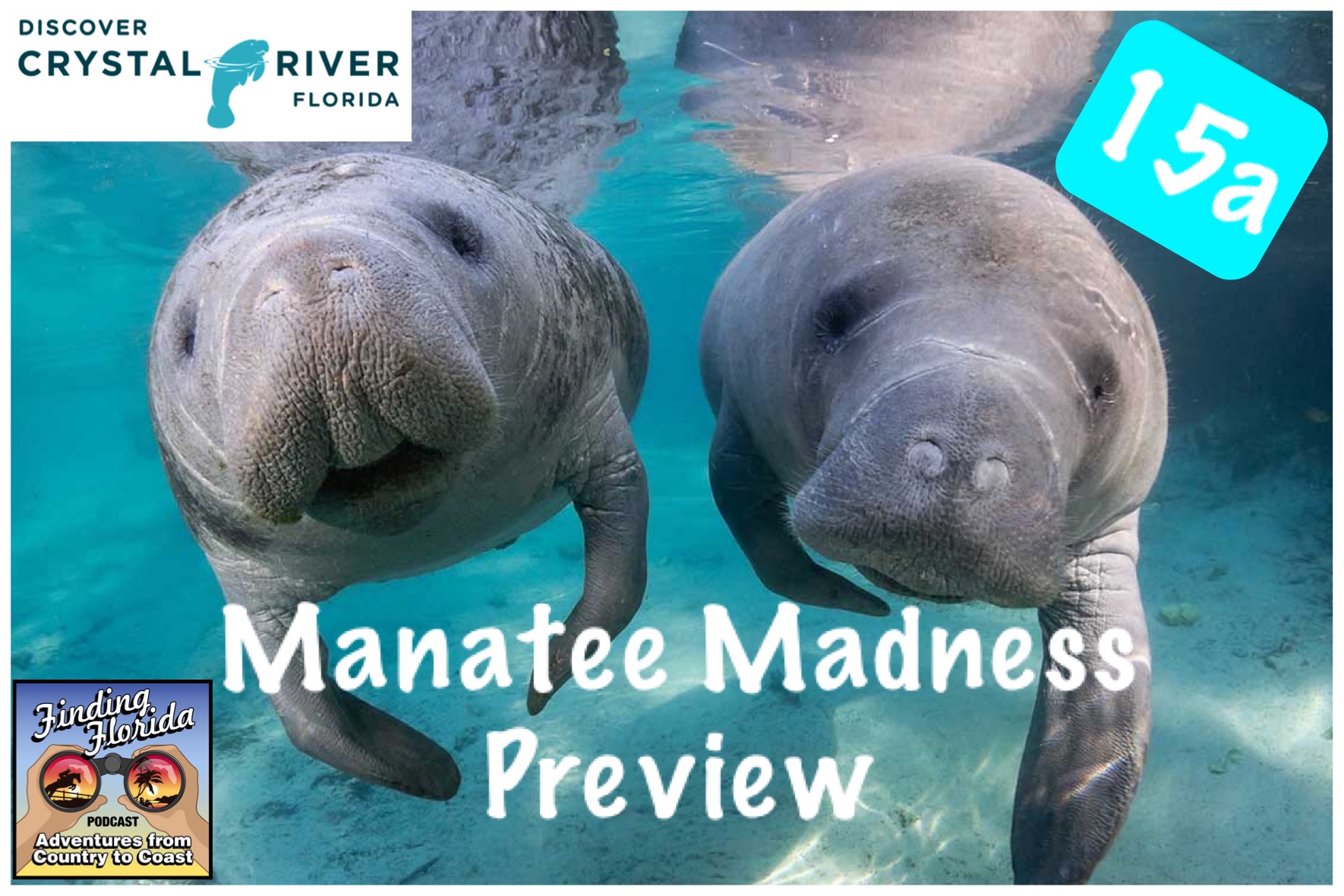 Episode 15a: Manatee Madness in Crystal River Preview