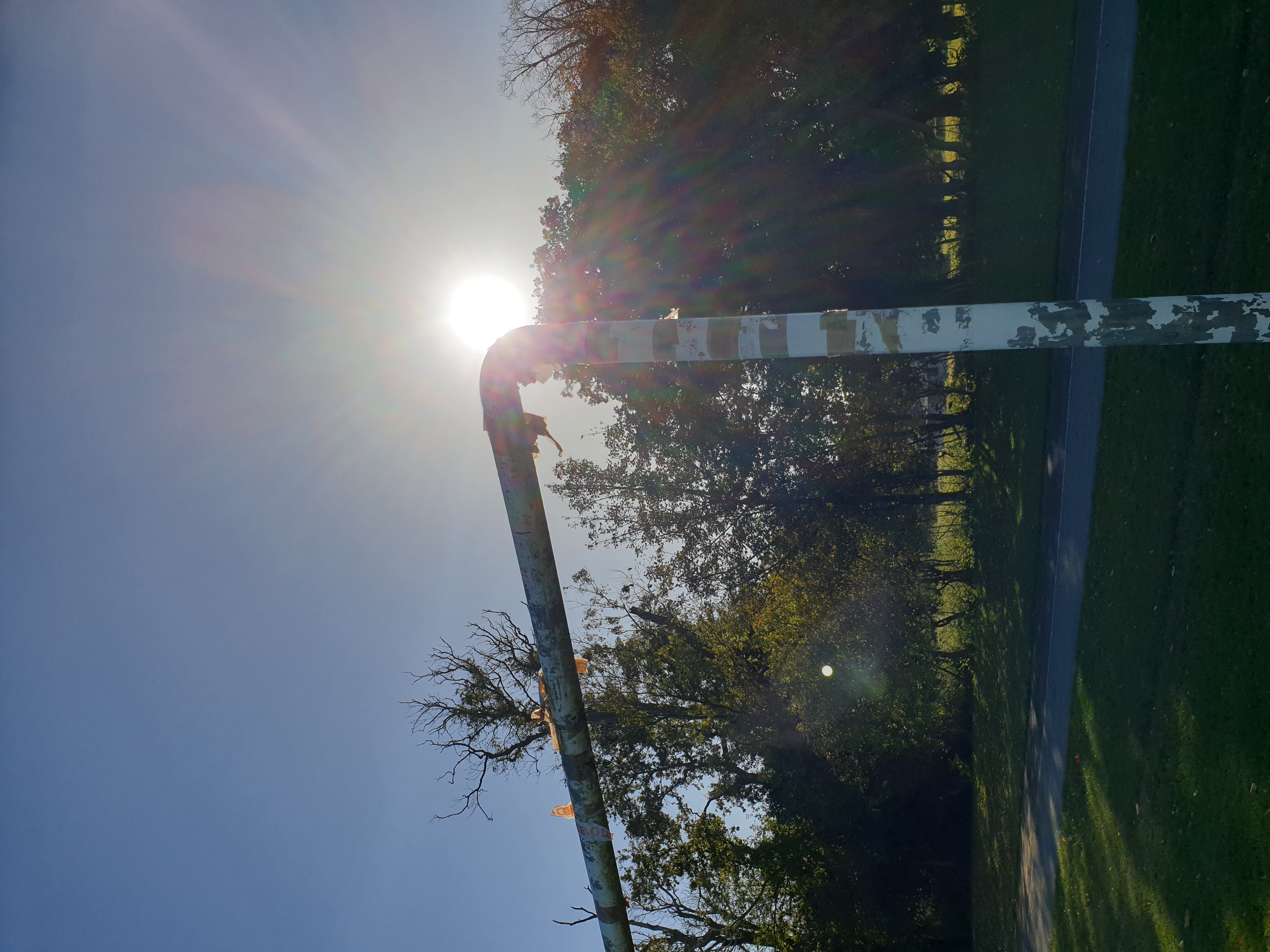 A Bohemian Sporting Life