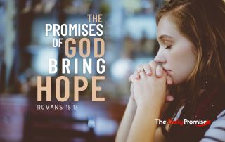 The Daily Promise