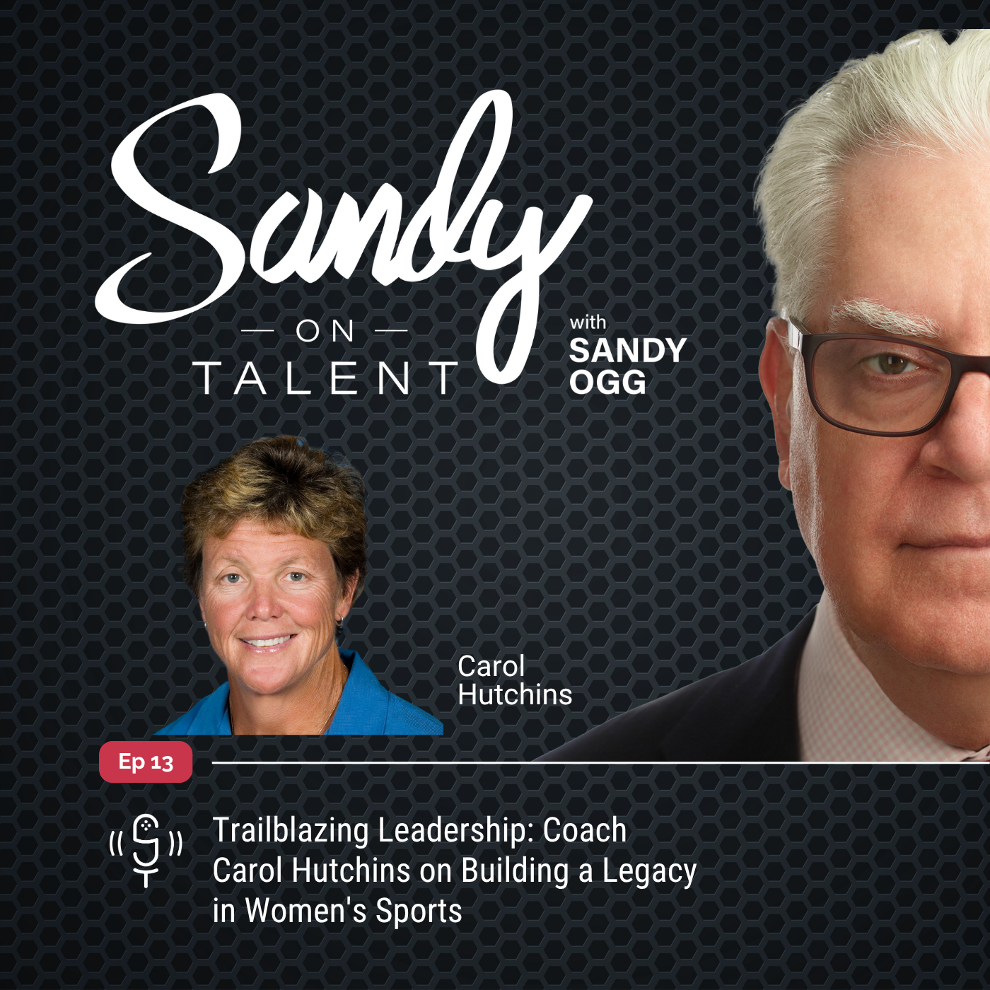 Sandy on Talent - Insights and Strategies for Leadership Excellence and Talent Optimization