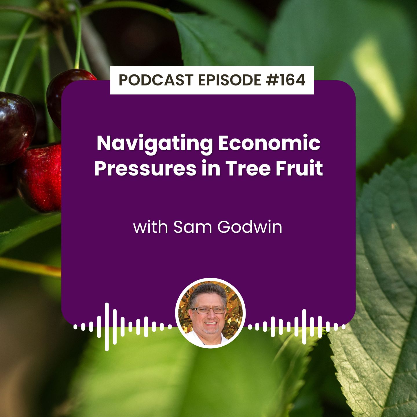 Episode 164: Navigating Economic Pressures in Tree Fruit with Sam Godwin