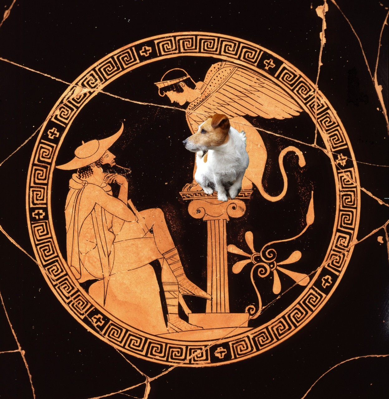 Ancient History Hound