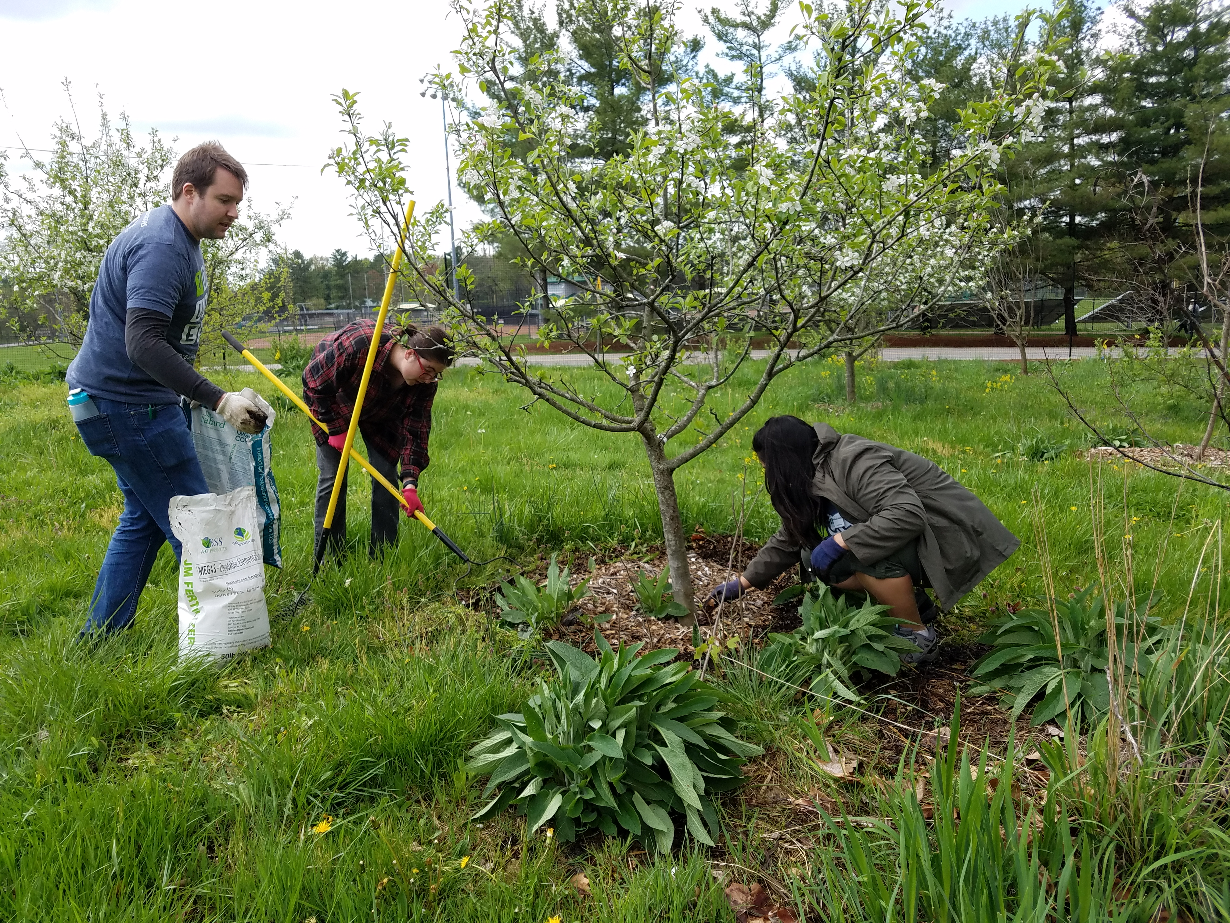 Bloomington Community Orchard