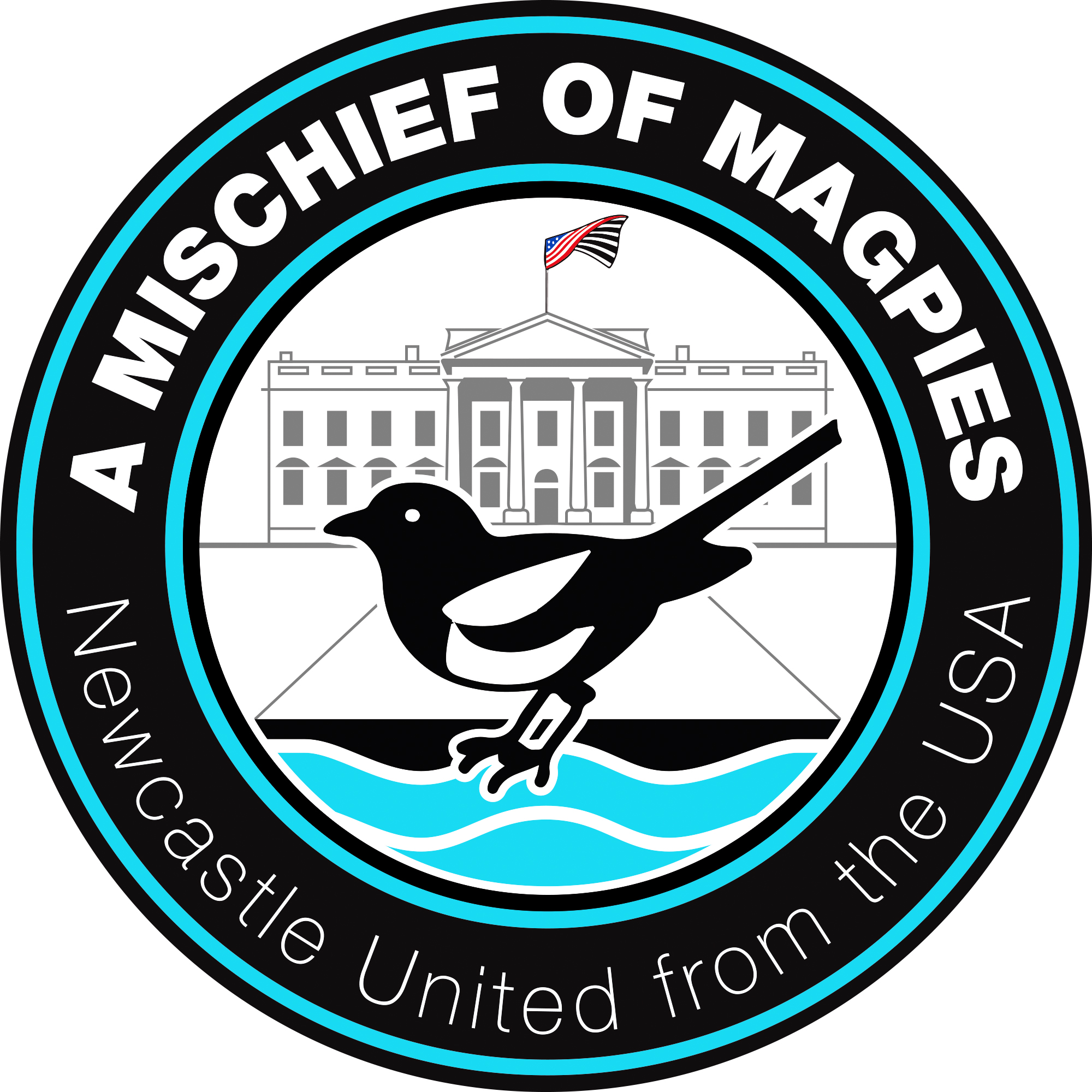 A Mischief of Magpies: Newcastle United from the USA