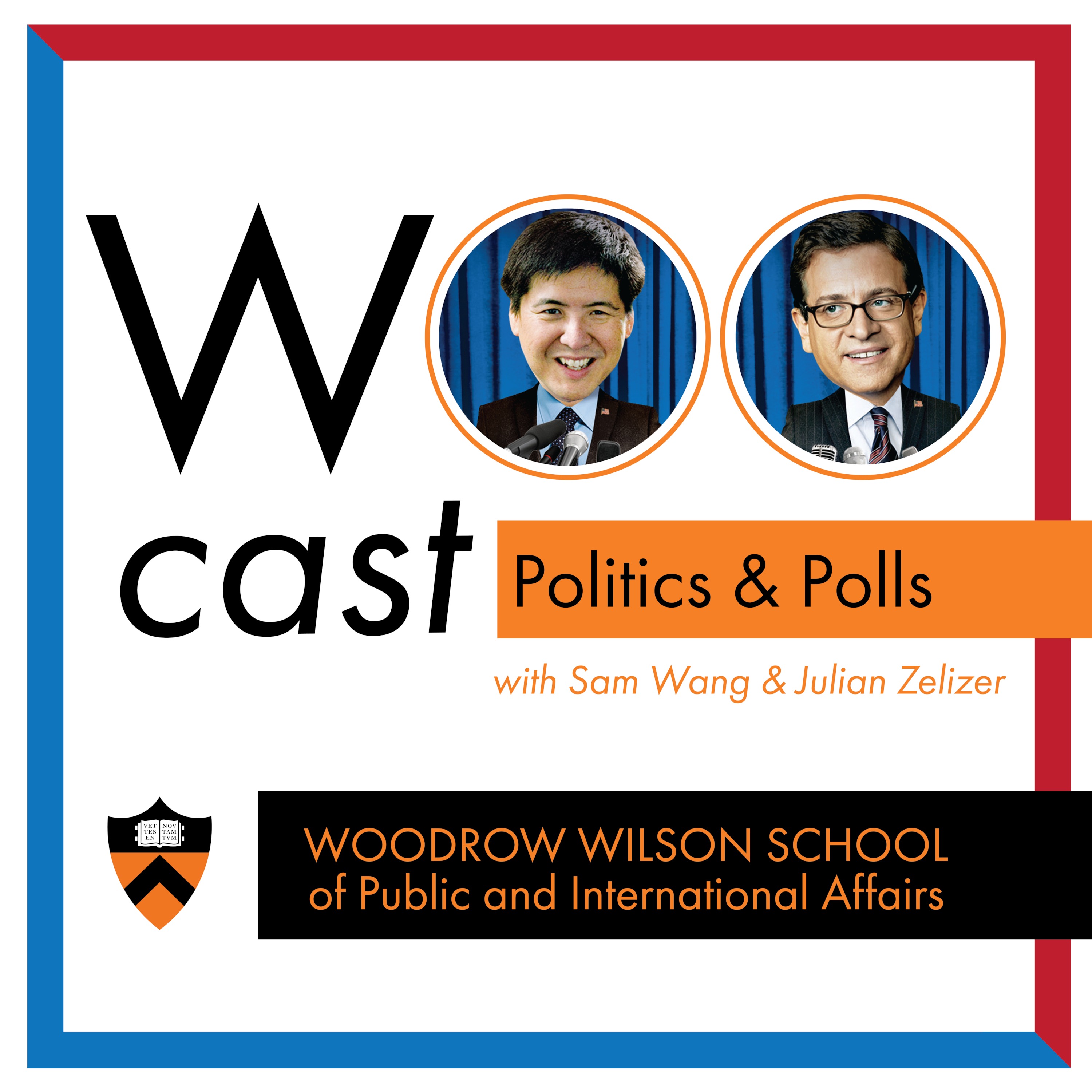 Politics and Polls