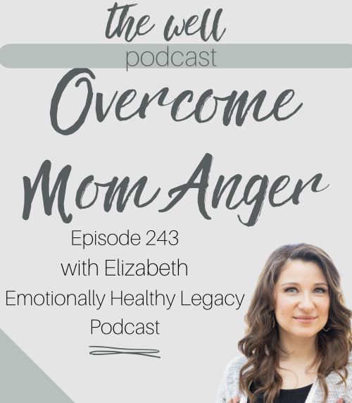 The Well - Life Coaching for Christian Moms- Combat Overwhelm, Stress Management, Holistic Self Care, NonToxic living, Essential oils