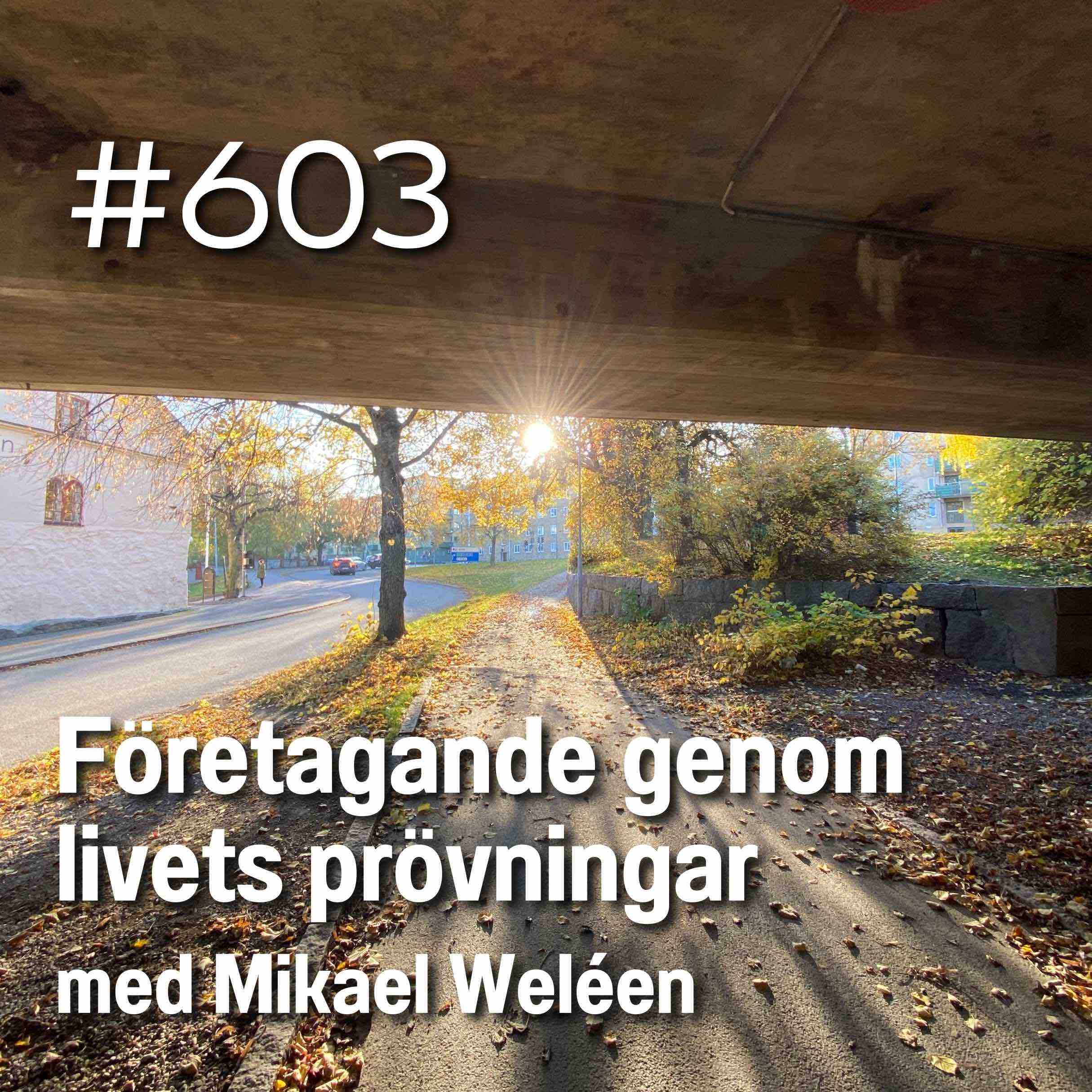 Entreprenörsdriv